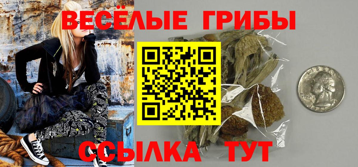 Псилоцибиновые грибы ЛСД  Вход с VPN  Аксай  Галлюциногенные грибы мухоморы 