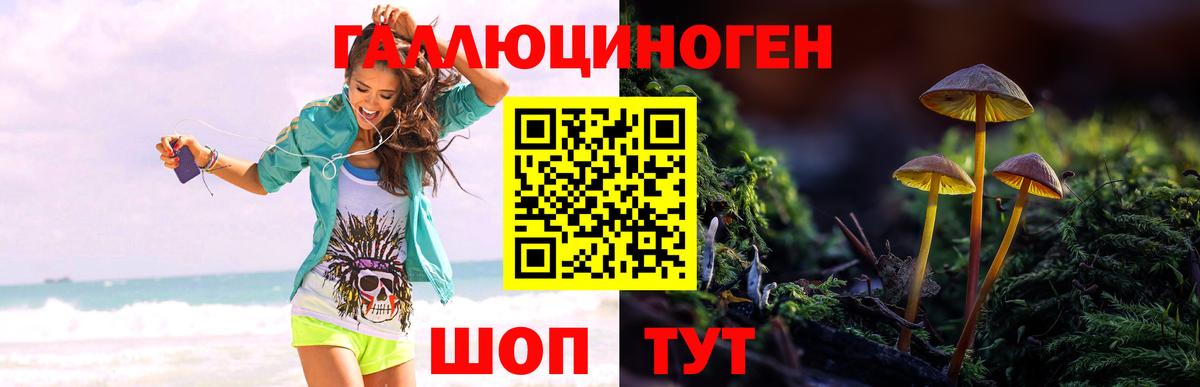 Псилоцибиновые грибы Psilocybe Аксай